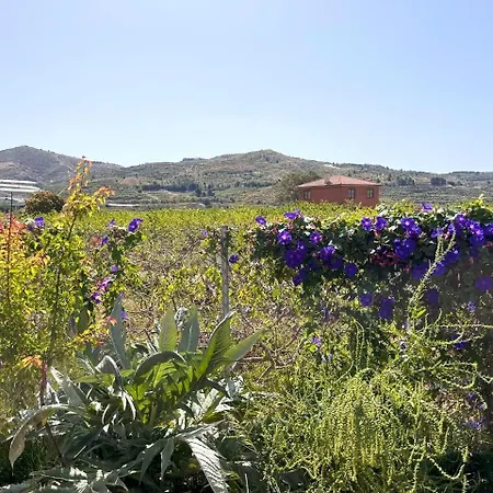 Verzul Villa